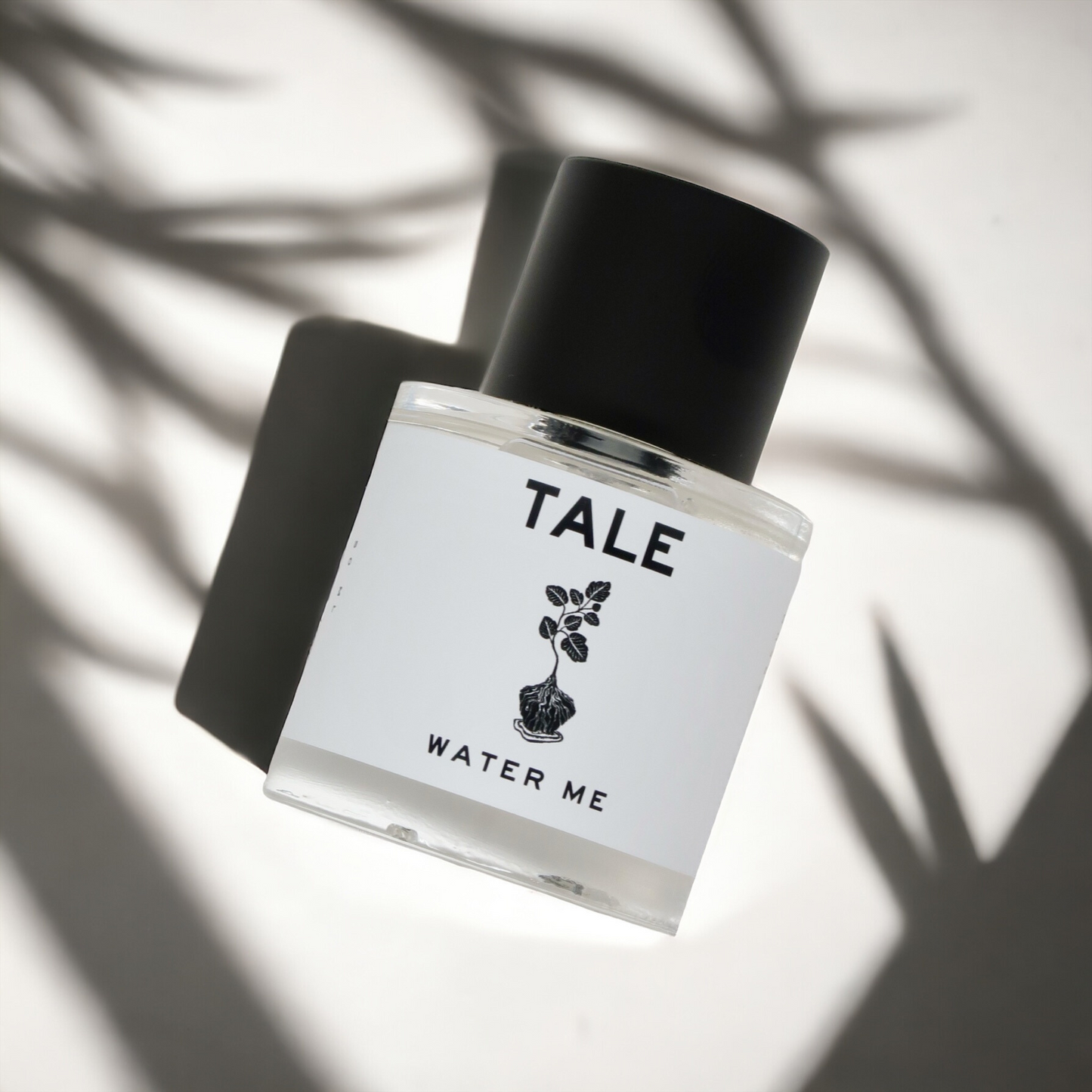 Water Me 50L Bottle, Plant Shadows